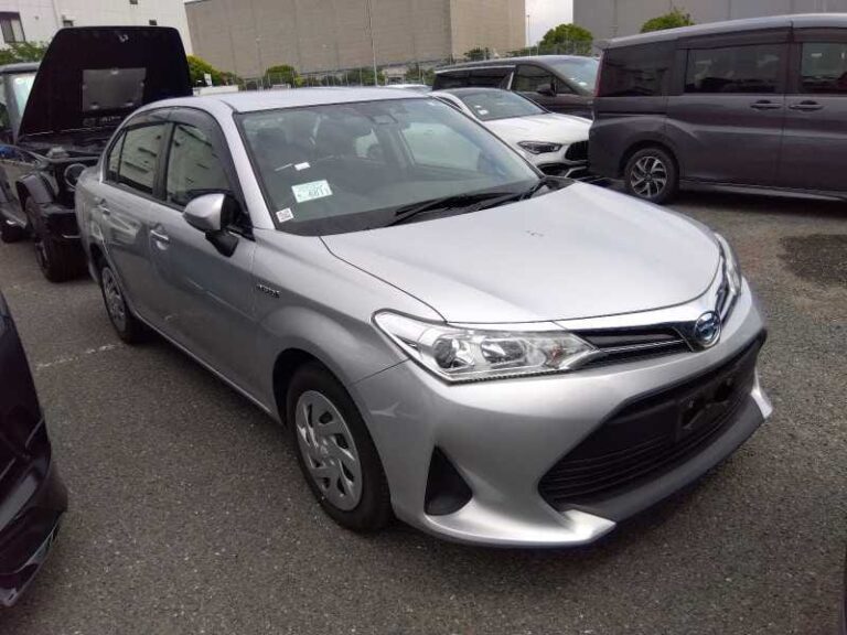 Axio EX 2020