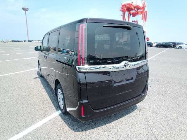 
								Noah X 2021 Wine full									