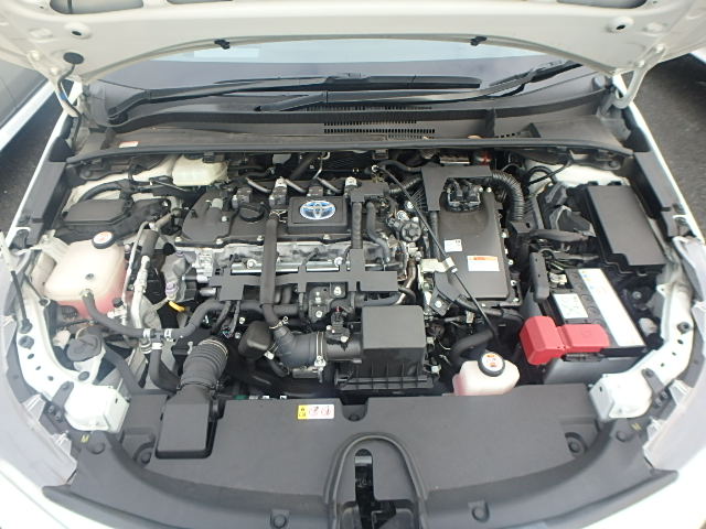 
								Corolla WxB full									